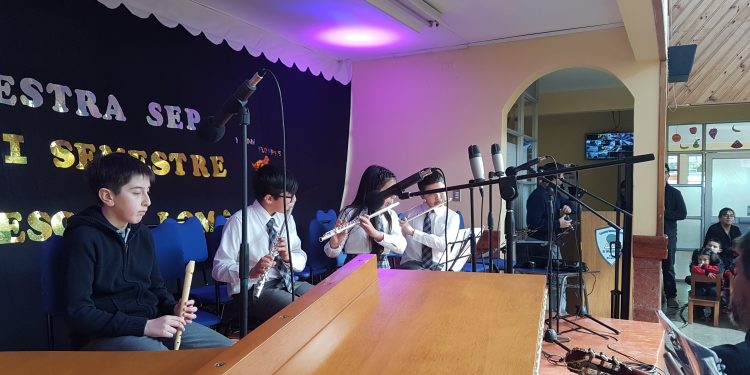 Muestra SEP primer semestre 2019